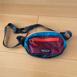Patagonia Men's Red and Blue Belt Bag